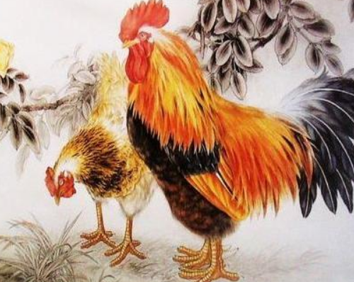 属鸡的今年运势怎么样 93年属鸡的姻缘在哪年28岁(图2) 属鸡的今年运势怎么样 93年属鸡的姻缘在哪年28岁(图2)