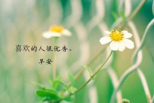 早安情话写给女朋友的有哪些 最浪漫的说早安方式(图1) 早安情话写给女朋友的有哪些 最浪漫的说早安方式(图1)