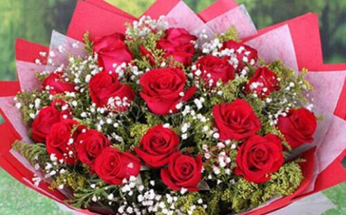 999朵玫瑰花代表什么 玫瑰花送几朵代表什么(图3) 999朵玫瑰花代表什么 玫瑰花送几朵代表什么(图3)