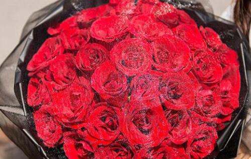 999朵玫瑰花代表什么 玫瑰花送几朵代表什么(图2) 999朵玫瑰花代表什么 玫瑰花送几朵代表什么(图2)