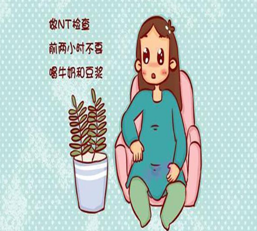 第一次产检需要做什么检查 第1次产检需要带什么东西(图4) 第一次产检需要做什么检查 第1次产检需要带什么东西(图4)