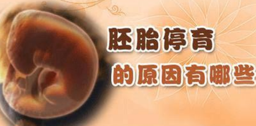 孕三个月怎么自测有没有胎停 怀孕三个月会出现胎停吗(图2) 孕三个月怎么自测有没有胎停 怀孕三个月会出现胎停吗(图2)