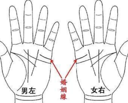 婚姻线怎么看几段姻缘 婚姻线有多条有什么不同含义(图3) 婚姻线怎么看几段姻缘 婚姻线有多条有什么不同含义(图3)