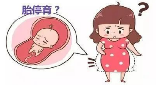 胎停了有什么明显症状 胎停是什么原因引起的