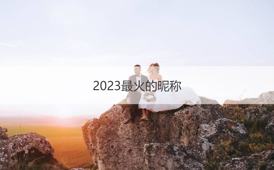 2023最火的昵称 最流行的网名(图1)