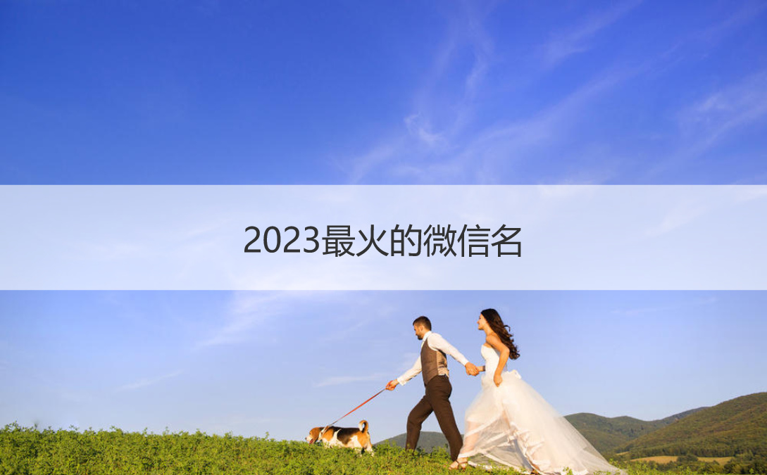 2023最火的微信名 2023独特的微信名(图1)