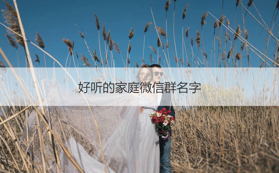 好听的家庭微信群名字 家庭群名称大全(图1)
