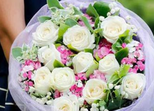 送17朵玫瑰代表什么意思 17朵玫瑰花适合送给什么的人(图4) 送17朵玫瑰代表什么意思 17朵玫瑰花适合送给什么的人(图4)