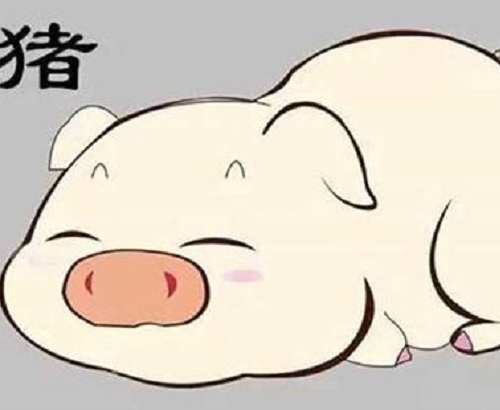 属狗女和属猪男的婚姻如何 男属狗女属猪相配吗(图4) 属狗女和属猪男的婚姻如何 男属狗女属猪相配吗(图4)