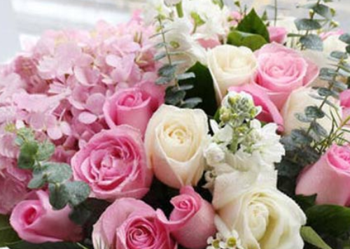 18朵玫瑰花代表什么意思 不同颜色的玫瑰花代表什么意思(图2) 18朵玫瑰花代表什么意思 不同颜色的玫瑰花代表什么意思(图2)