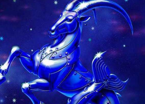 哪个星座最喜欢摩羯女 哪个星座和摩羯座女生不配(图1) 哪个星座最喜欢摩羯女 哪个星座和摩羯座女生不配(图1)