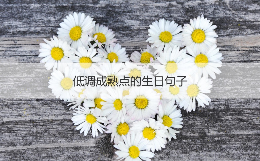 低调成熟点的生日句子   生日文案短句干净走心(图1)