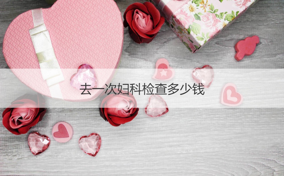 去一次妇科检查多少钱 看妇科要做哪些检查(图1)
