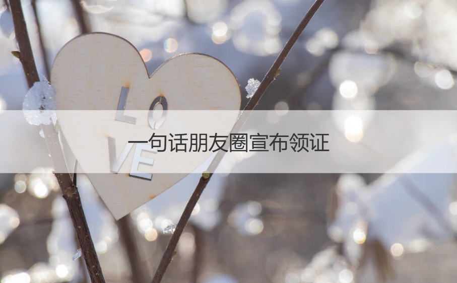 一句话朋友圈宣布领证 低调宣布结婚短句(图1)