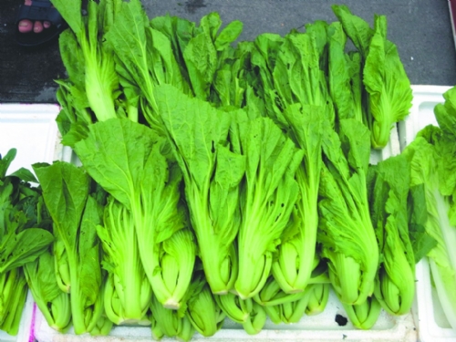 怀孕能吃芥菜吗 怀孕吃芥菜会流血吗(图1) 怀孕能吃芥菜吗 怀孕吃芥菜会流血吗(图1)
