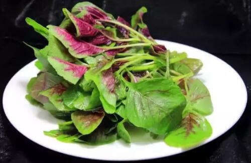 怀孕能吃红苋菜吗 怀孕吃红苋菜肚皮会痒吗(图3) 怀孕能吃红苋菜吗 怀孕吃红苋菜肚皮会痒吗(图3)