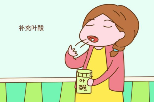 孕早期可以吃生菜吗 孕妇十大禁忌蔬菜有哪些(图4) 孕早期可以吃生菜吗 孕妇十大禁忌蔬菜有哪些(图4)