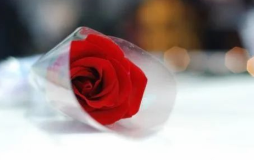 28年是什么婚姻 结婚28年送什么礼物好(图3) 28年是什么婚姻 结婚28年送什么礼物好(图3)