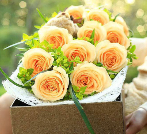 12朵玫瑰花代表什么意思 玫瑰花送几朵合适(图2) 12朵玫瑰花代表什么意思 玫瑰花送几朵合适(图2)