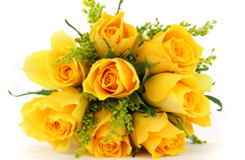 12朵玫瑰花代表什么意思 玫瑰花送几朵合适(图4) 12朵玫瑰花代表什么意思 玫瑰花送几朵合适(图4)