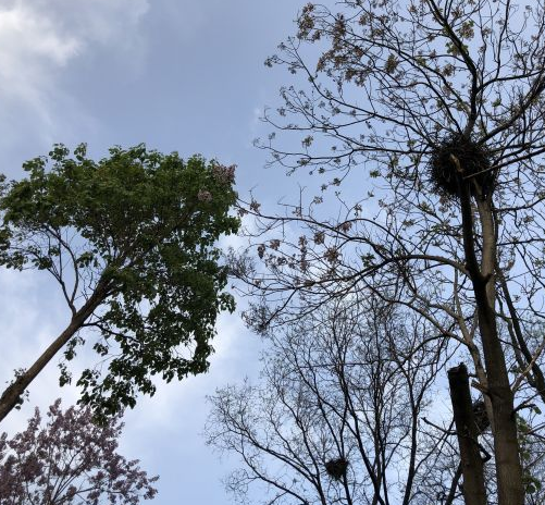 行嫁月是什么意思 结婚可不可以不看日子(图3) 行嫁月是什么意思 结婚可不可以不看日子(图3)