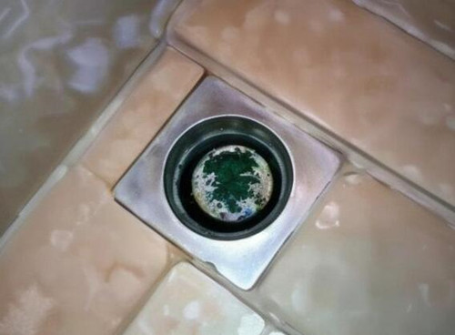 卫生间反臭味怎么办(图2) 卫生间反臭味怎么办(图2)
