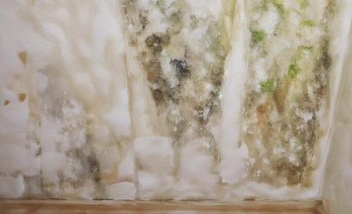 地面潮湿怎么处理(图1) 地面潮湿怎么处理(图1)