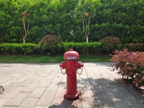 室外消火栓安装规范要求有哪些(图4) 室外消火栓安装规范要求有哪些(图4)