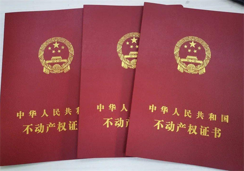 如何查询名下的不动产信息