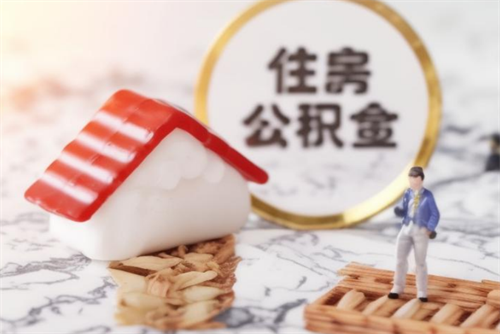 住房公积金怎么查询(图4) 住房公积金怎么查询(图4)