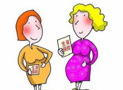 产假有基本工资吗 产假社保要自己缴纳吗(图3) 产假有基本工资吗 产假社保要自己缴纳吗(图3)