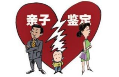 后补结婚证还需要亲子鉴定吗 先生孩子后补结婚证有什么坏处(图1) 后补结婚证还需要亲子鉴定吗 先生孩子后补结婚证有什么坏处(图1)