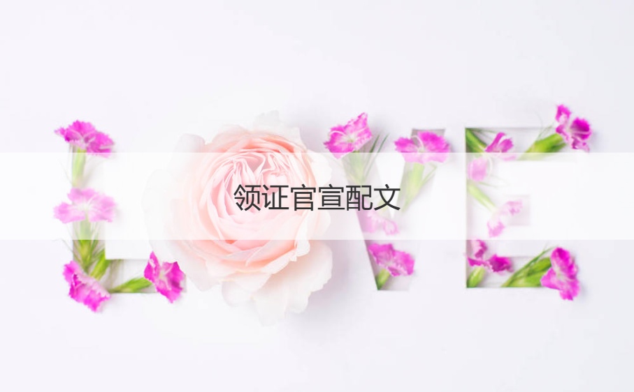 领证官宣配文 低调领证官宣文案怎么写(图1)