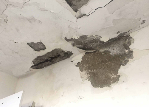 家里墙上发霉怎么回事