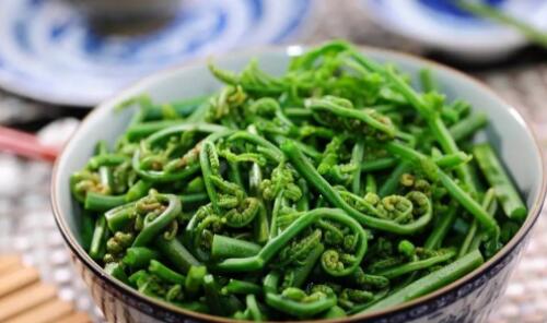 怀孕可以吃蕨菜吗 怀孕吃蕨菜见红什么情况(图4) 怀孕可以吃蕨菜吗 怀孕吃蕨菜见红什么情况(图4)