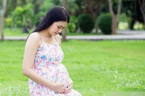 孕期喝豆浆有什么好处 孕妇喝豆浆的最佳时间是什么时候(图3) 孕期喝豆浆有什么好处 孕妇喝豆浆的最佳时间是什么时候(图3)