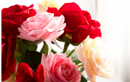 34朵玫瑰花代表什么意思 27朵玫瑰花语是什么意思(图3) 34朵玫瑰花代表什么意思 27朵玫瑰花语是什么意思(图3)