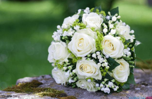 29朵玫瑰花是什么意思 29朵玫瑰花要多少钱(图4) 29朵玫瑰花是什么意思 29朵玫瑰花要多少钱(图4)