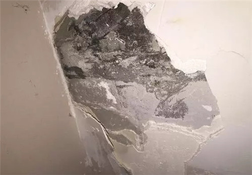 墙反碱怎么处理