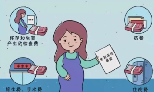 三胎如何走生育险 生三胎国家补助多少钱(图3) 三胎如何走生育险 生三胎国家补助多少钱(图3)
