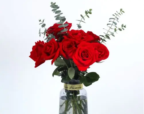 九朵玫瑰花代表什么意思 9朵白玫瑰代表什么意思(图3)