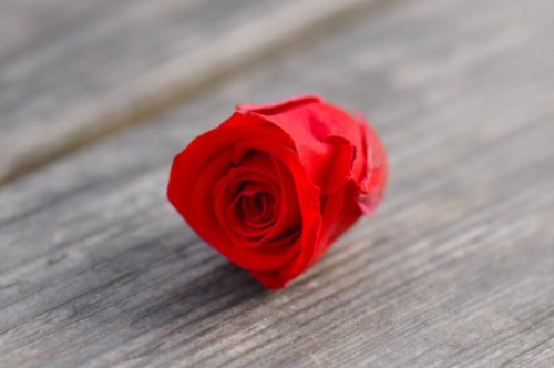 为什么有的女人桃花重 已婚女人招桃花的原因有哪些(图2) 为什么有的女人桃花重 已婚女人招桃花的原因有哪些(图2)