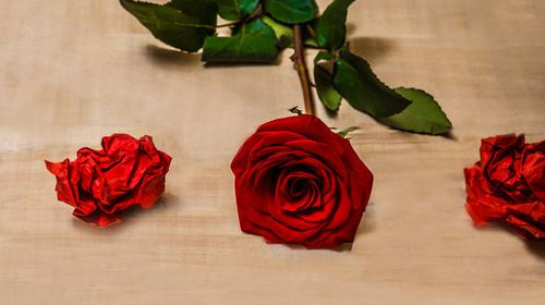 夫妻心不在一起怎么过 夫妻不同心的表现有哪些(图3) 夫妻心不在一起怎么过 夫妻不同心的表现有哪些(图3)