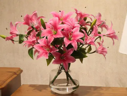 男朋友送百合花代表什么意思 送百合花送几朵好(图1)