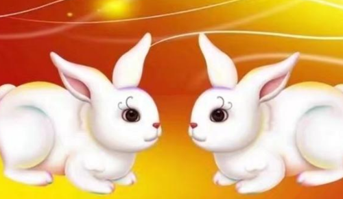 99年属兔的姻缘在哪年 1999年属兔人注定的婚姻(图4) 99年属兔的姻缘在哪年 1999年属兔人注定的婚姻(图4)
