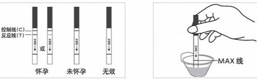 验孕棒什么用 验孕棒的正确使用方法(图3) 验孕棒什么用 验孕棒的正确使用方法(图3)
