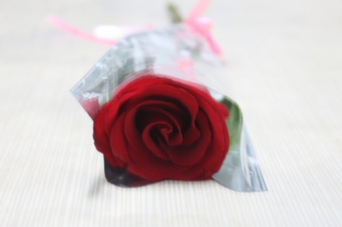 男生送玫瑰花给女生什么意思 玫瑰花能随便送女孩吗(图3) 男生送玫瑰花给女生什么意思 玫瑰花能随便送女孩吗(图3)