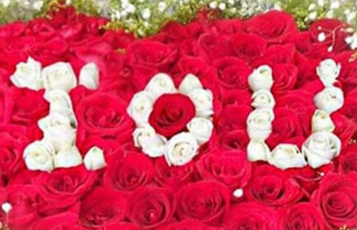 男生送玫瑰花给女生什么意思 玫瑰花能随便送女孩吗(图1) 男生送玫瑰花给女生什么意思 玫瑰花能随便送女孩吗(图1)