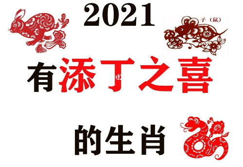 2021年有添丁之喜的生肖有哪些 2021年会怀孕的生肖(图1) 2021年有添丁之喜的生肖有哪些 2021年会怀孕的生肖(图1)