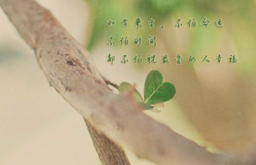 女生可以送男朋友花吗 女人送男人花的讲究有哪些(图3)